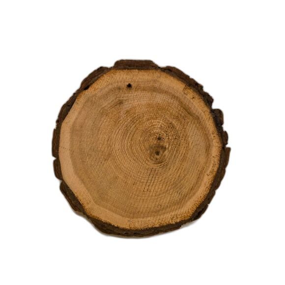 Hand-Rapainted Raccoon Wood Plaque or Trivet 5.75" x .5" - Picture 2 of 2